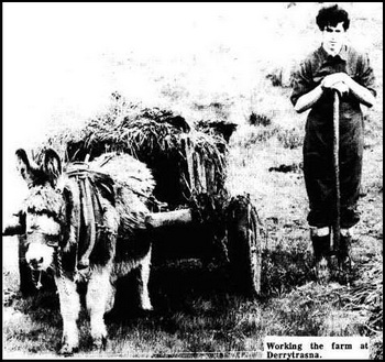 Farm Worker