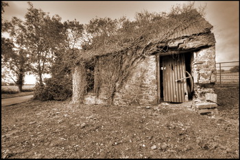 A Cottier's cottage of the 1850's