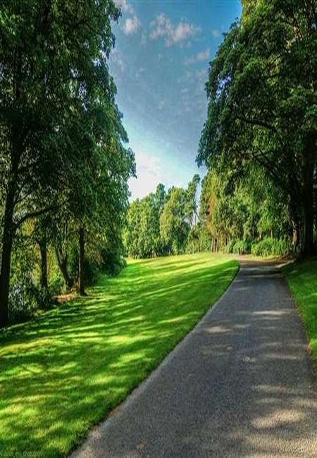 The walk