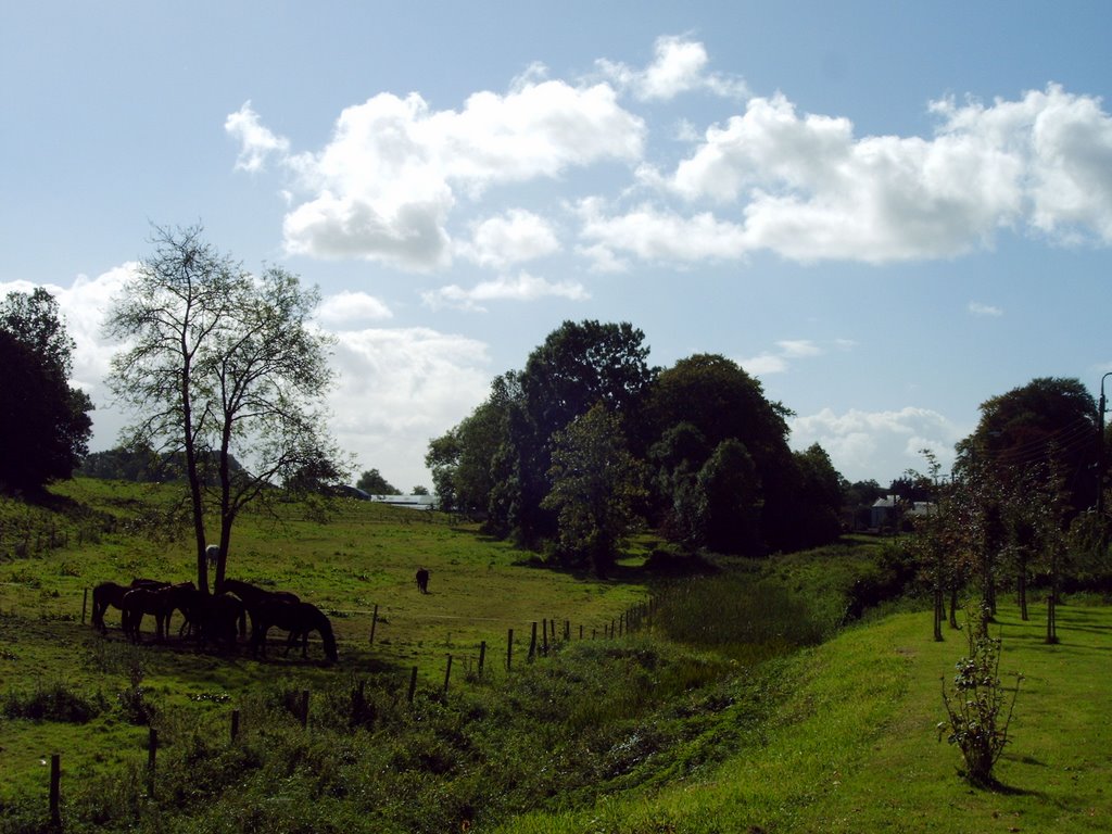 Ulster Canal, west of Clones, County Monaghan
